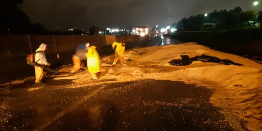 Com o impacto da batida, um dos veículos tombou espalhando os grãos de soja pela pista