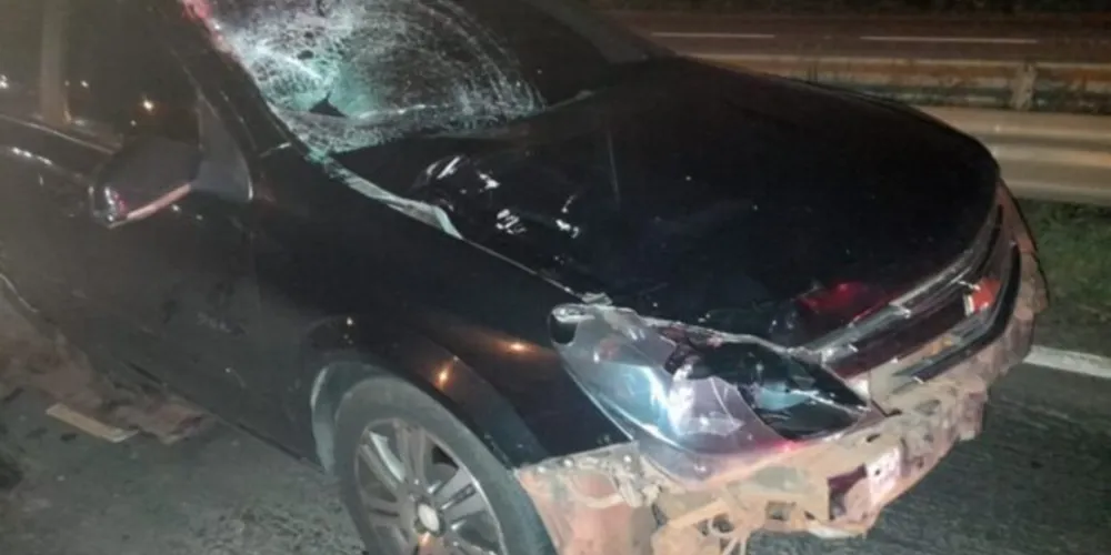 Veículo GM/Vectra acabou atingindo a vítima no km 351, na BR-376.
