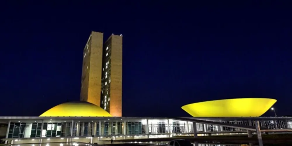 Congresso Nacional pode votar projetos neste ano.