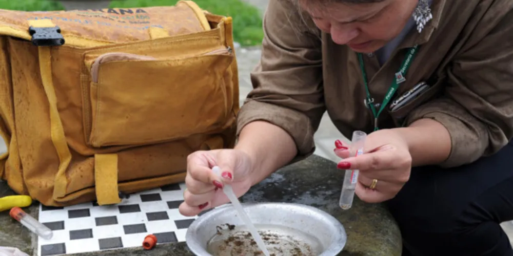 Intuito da iniciativa é conscientizar a população paranaense em uma força tarefa contra o mosquito Aedes aegypti.