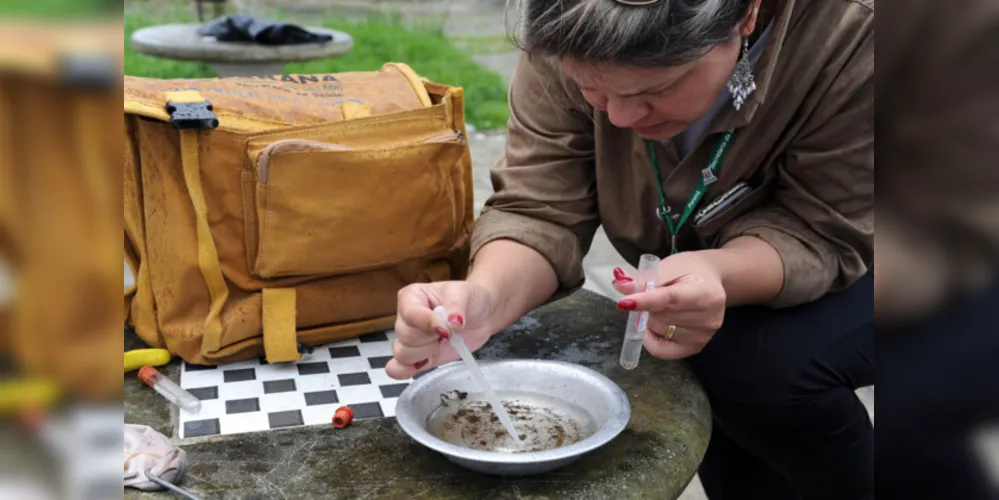 Intuito da iniciativa é conscientizar a população paranaense em uma força tarefa contra o mosquito Aedes aegypti.