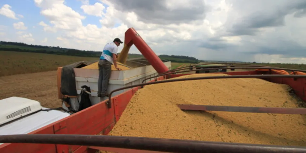 A soja, principal produto do agro, deve amargar uma queda de produtividade de cerca de 9% em relação à safra passada