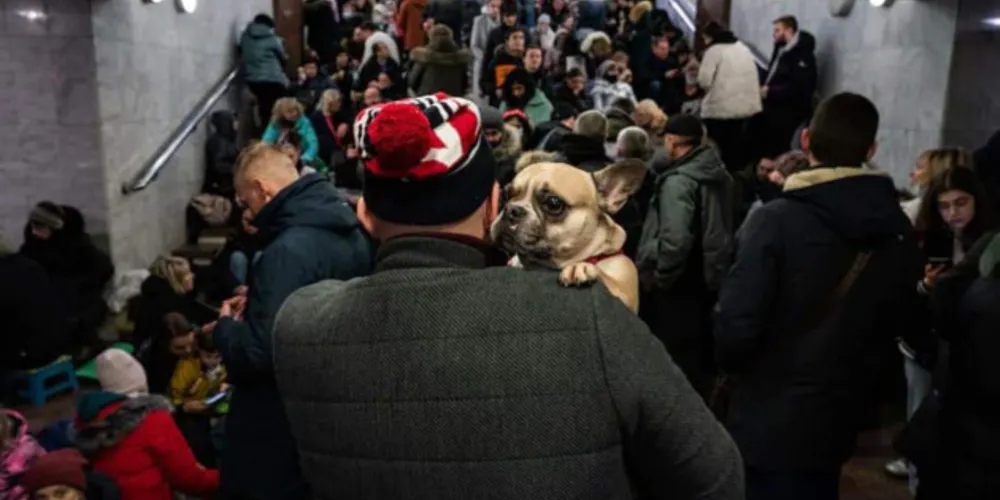 Kiev suspense corredor humanitário hoje.