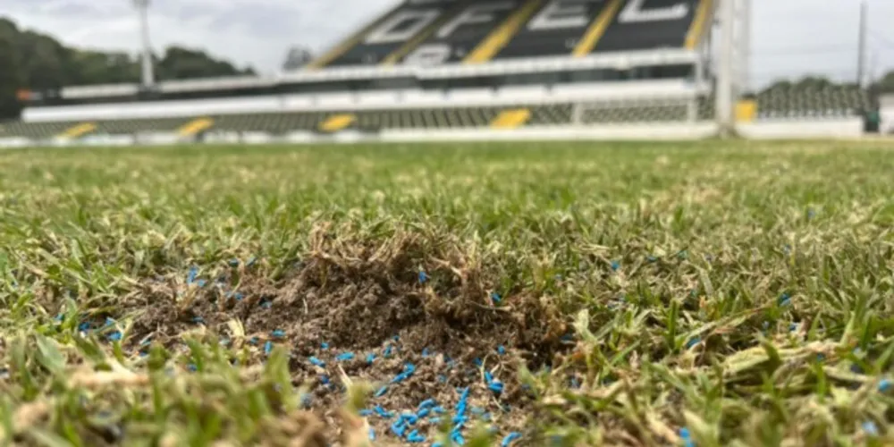 Imagem ilustrativa da imagem Inicia o plantio da grama de inverno no Germano Krüger