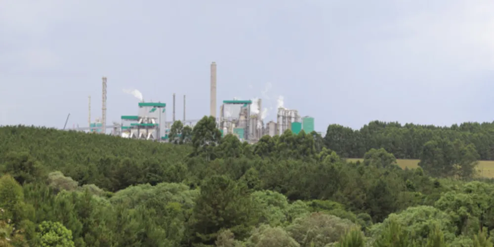 Ações adotadas nas plantas dos Campos Gerais trouxeram ganhos econômicos e contribuíram para o meio ambiente