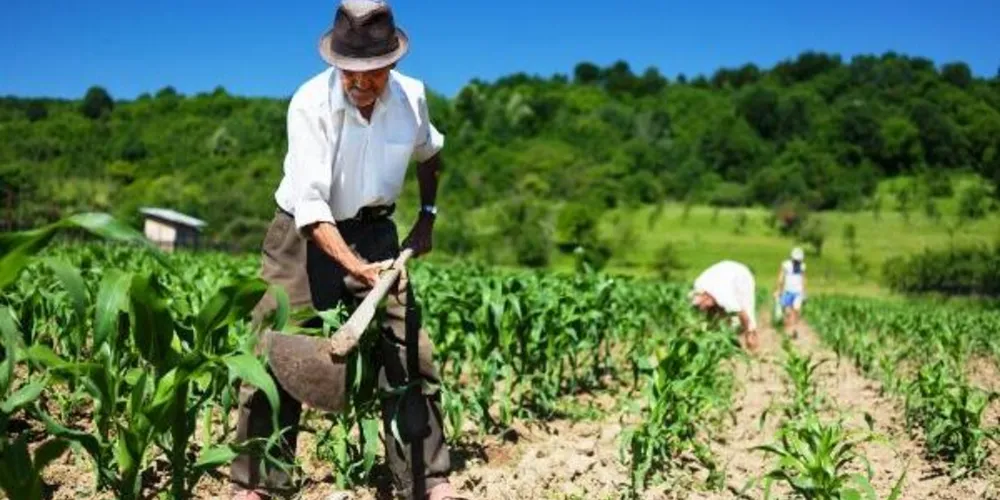Justiça determina repasse para a compra de maquinários agrícolas