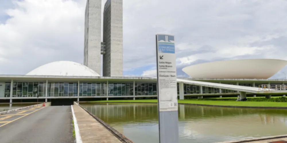 Neste ano, apenas uma cadeira estará disponível para o Estado do Paraná.