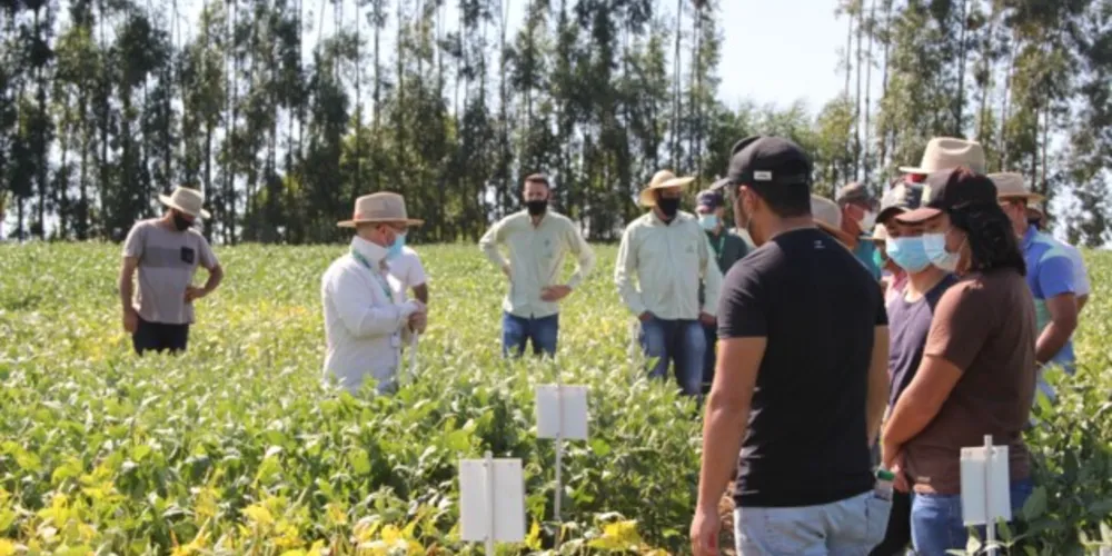 Tec Campo 2022: CAPAL promove imersão em novas tecnologias com palestras diretamente na lavoura.