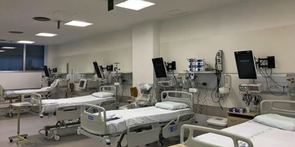 Os pesquisadores reforçam que a vacinação possibilitou a redução de casos graves e fatais de covid-19