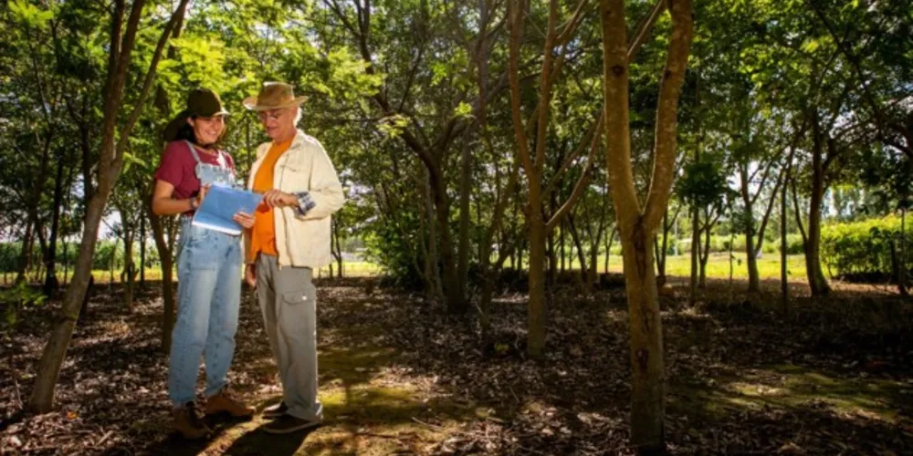 Profissões relacionadas com a economia verde, como a Engenharia Ambiental, têm potencial para crescimento nos próximos anos