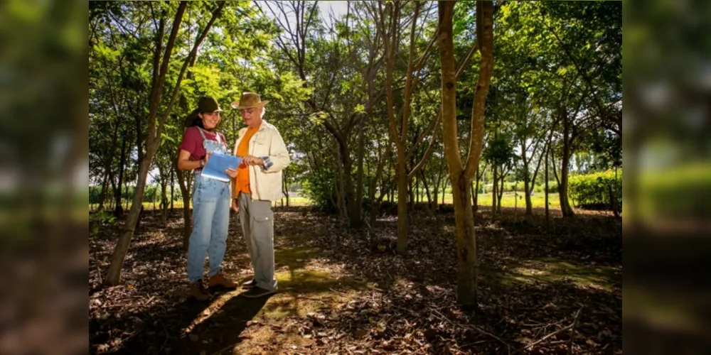 Profissões relacionadas com a economia verde, como a Engenharia Ambiental, têm potencial para crescimento nos próximos anos