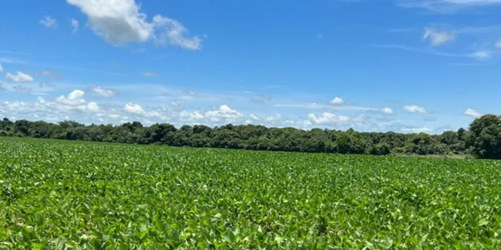 Ação tem como objetivo principal difundir e auxiliar produtores rurais à adoção de boas práticas agrícolas, sociais e ambientais