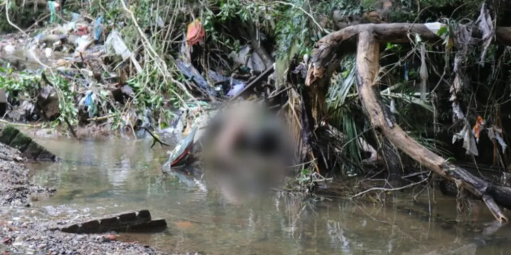 O corpo foi localizado entre galhos e lixos no arroio da vila Margarida.