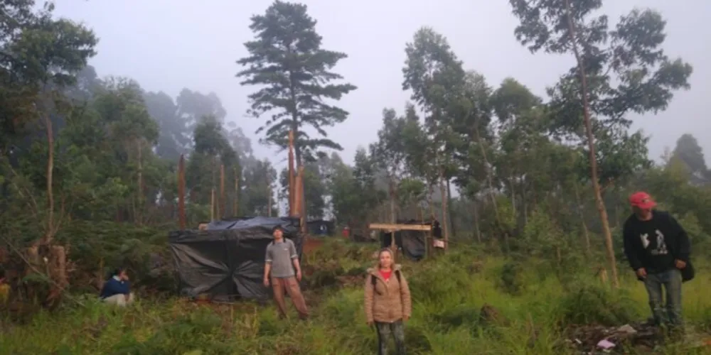 Ocupação ocorre em terreno pertencente ao Estado e à União, no Jardim Carvalho, ao lado da UTFPR