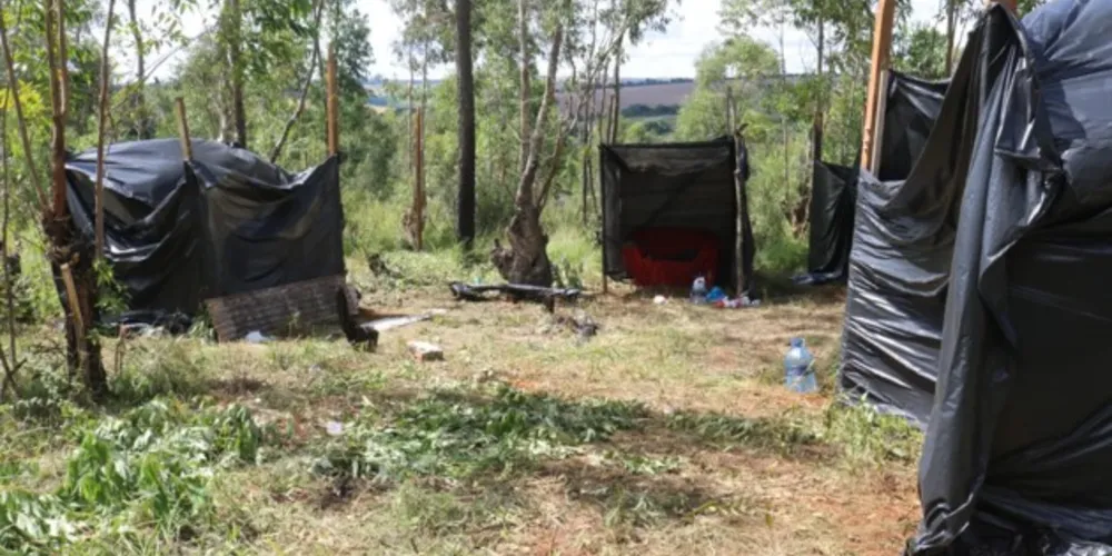 Cerca de 50 famílias ocupavam terreno nas proximidades da Universidade Tecnológica Federal do Paraná (UTFPR). Ação policial ocorreu na manhã do último domingo (27)