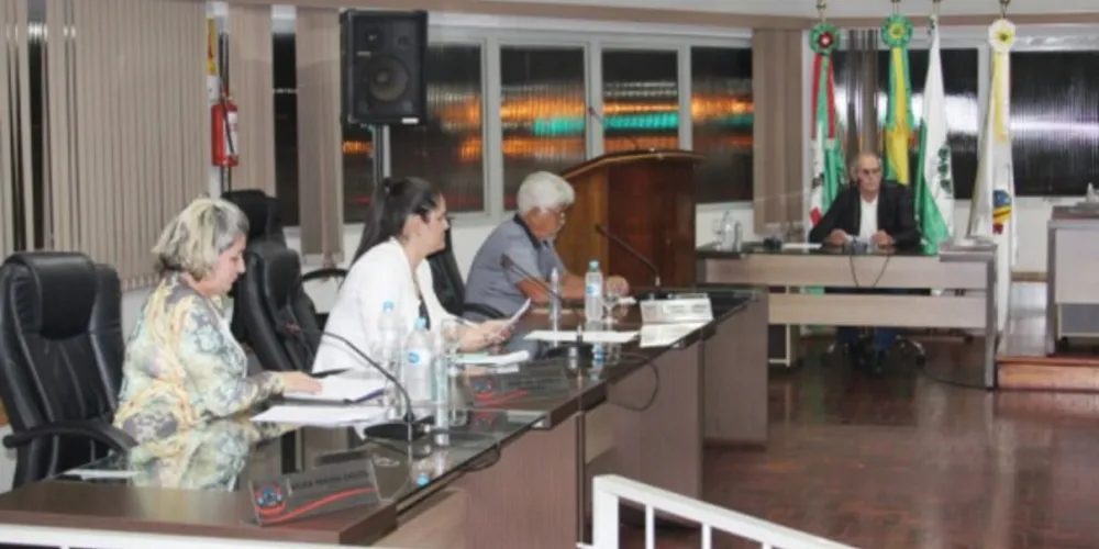 Após diversas reuniões das comissões permanentes, as propostas entraram em discussão na 11ª sessão ordinária