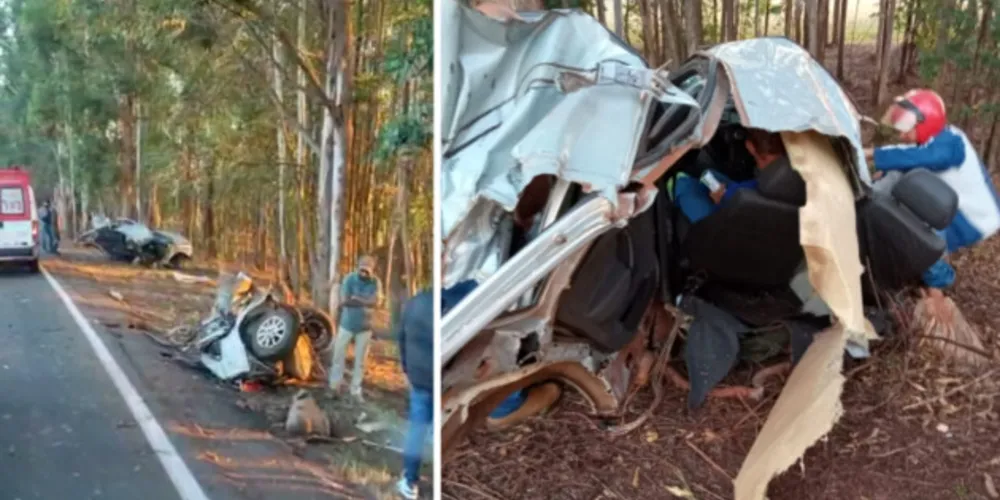 O carro rodou e bateu de lado em uma árvore às margens da rodovia.