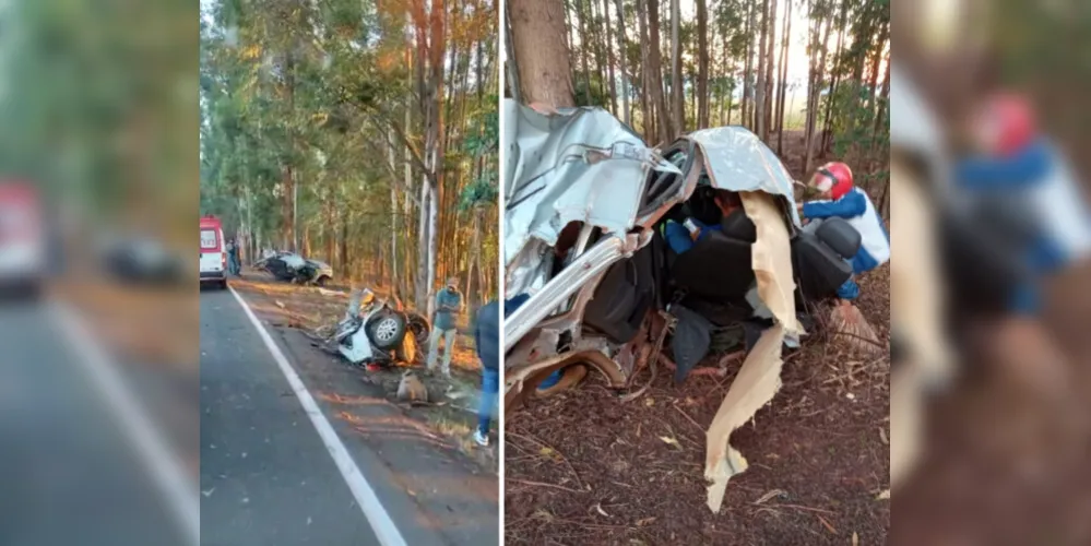 O carro rodou e bateu de lado em uma árvore às margens da rodovia.