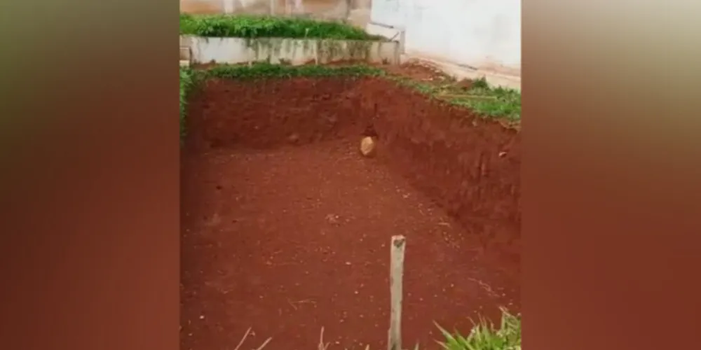 A estimativa é que o homem tenha lucrado cerca de R$ 500 mil com os golpes.