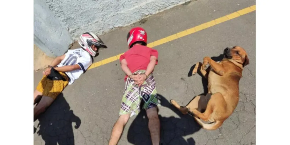 O cachorro percebeu os dois homens deitados no chão e decidiu seguir o exemplo.