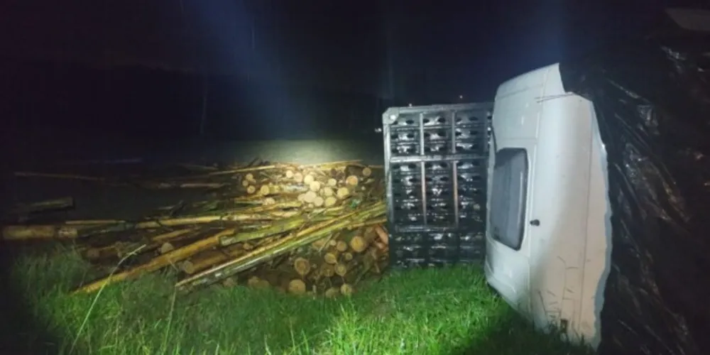 O veículo estava carregado de madeira e a carga ficou espalhada pelo gramado