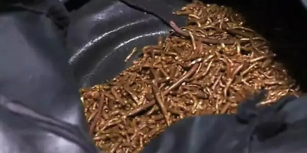 O homem foi pego em flagrante com cerca de 7kg de pedaços de cobre dentro da mochila.