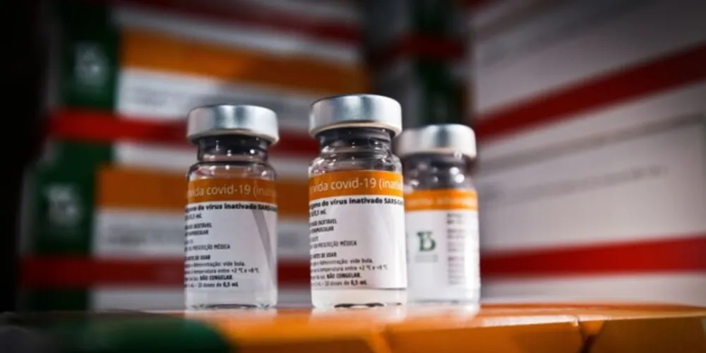 Butantan entrega amanhã 10 milhões de doses da CoronaVac