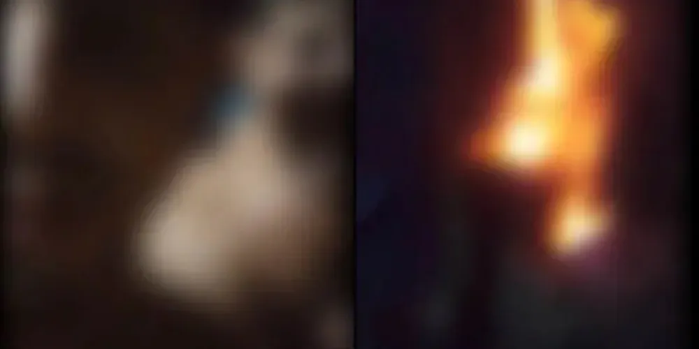 As imagens não serão divulgadas devido ao conteúdo ser extremamente sensível.