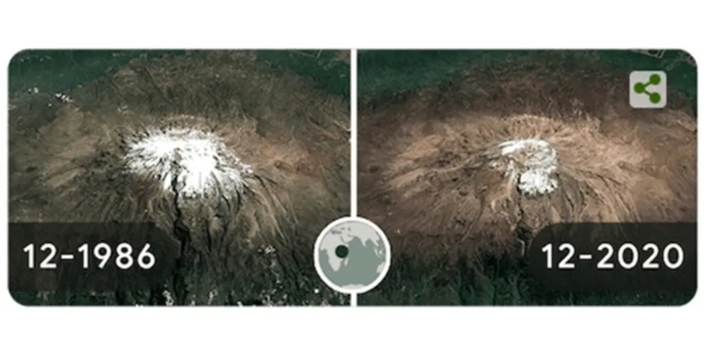 Os Doodles do Google para o Dia Mundial da Terra mostram os efeitos das mudanças climáticas