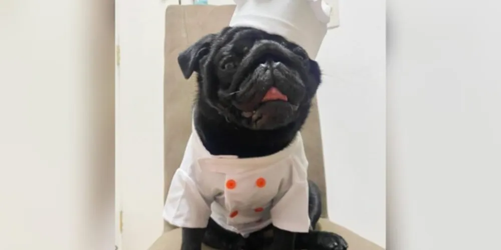 O evento terá concurso de fantasia e os cinco primeiros colocados ganharão prêmios.