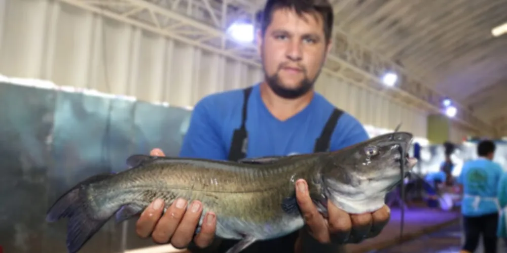 A Feira do Peixe Digital de 2022 acontece do dia 12 a 14 de abril 
das 9h às 20 horas e no dia 15 de abril, das 9h às 12 horas
