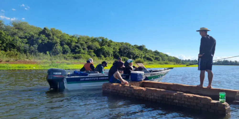 Força-tarefa do IAT combate crimes contra o desmatamento, pesca e caça ilegal