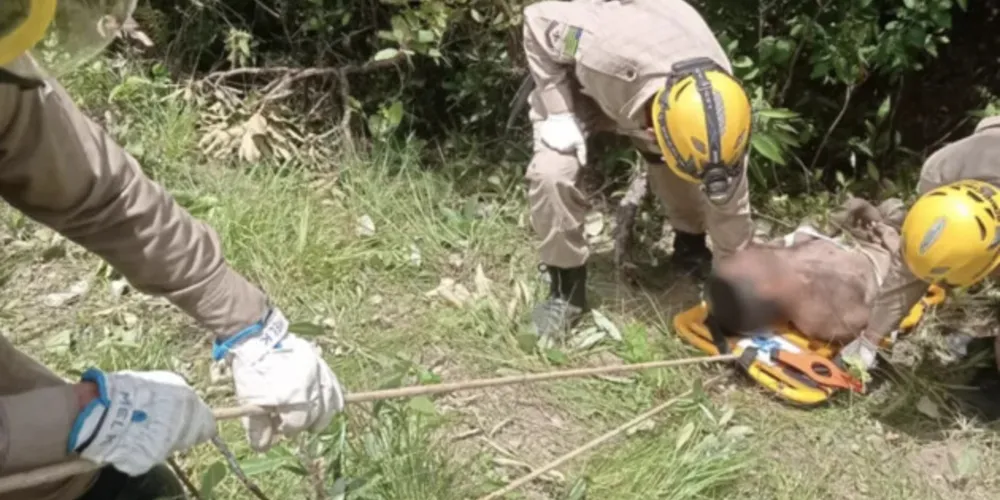 O homem foi salvo com vida pelos bombeiros em Goiás.