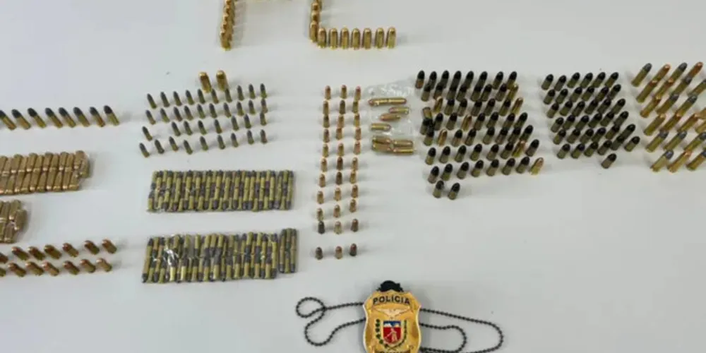 Mais de 500 munições de diversos calibres foram apreendidas pela polícia na casa da suspeita.