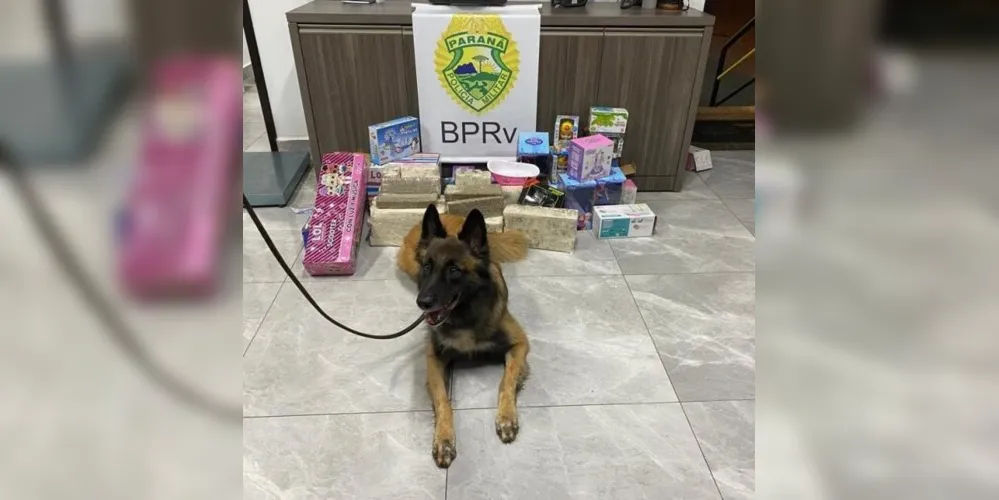 A droga foi apreendida em embalagens de brinquedos escondidas no bagageiro de um ônibus interestadual.