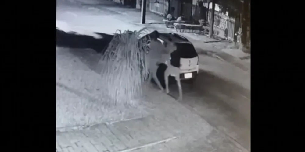 O morador de rua foi espancado ao ter relações sexuais com a mulher de um personal trainer.