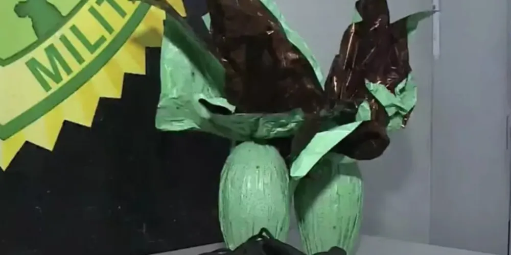 Os ovos avaliados em R$ 84,90 eram para pagar dívidas do tráfico