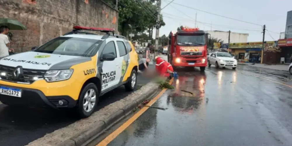 O cachorro arrastou o homem pelo pescoço para o meio da rua.