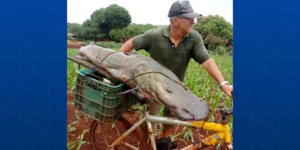 A imagem do homem carregando o peixe em uma bicicleta, viralizou na internet.