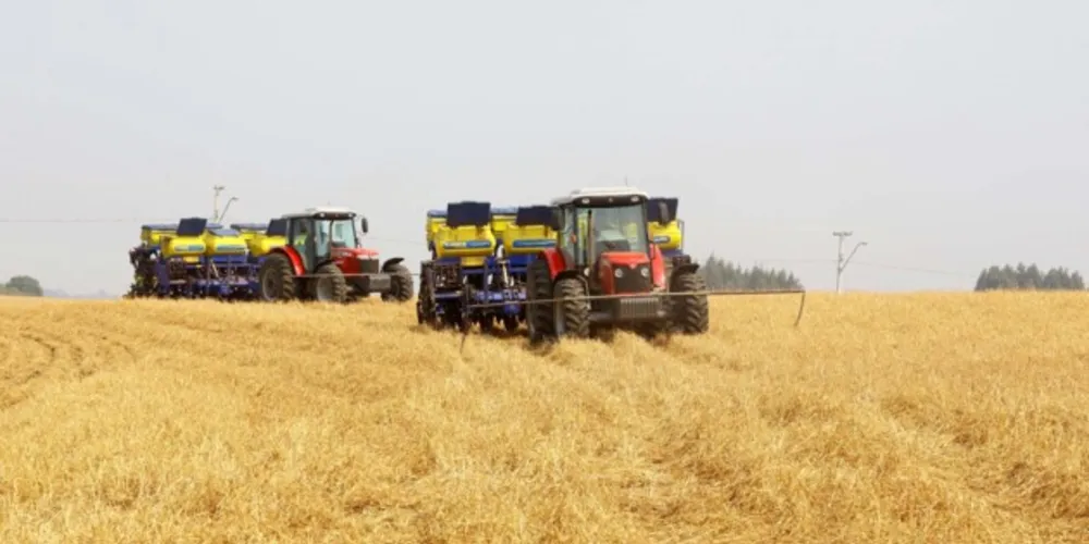 Plantio está quase concluído em todas as regiões paranaenses
