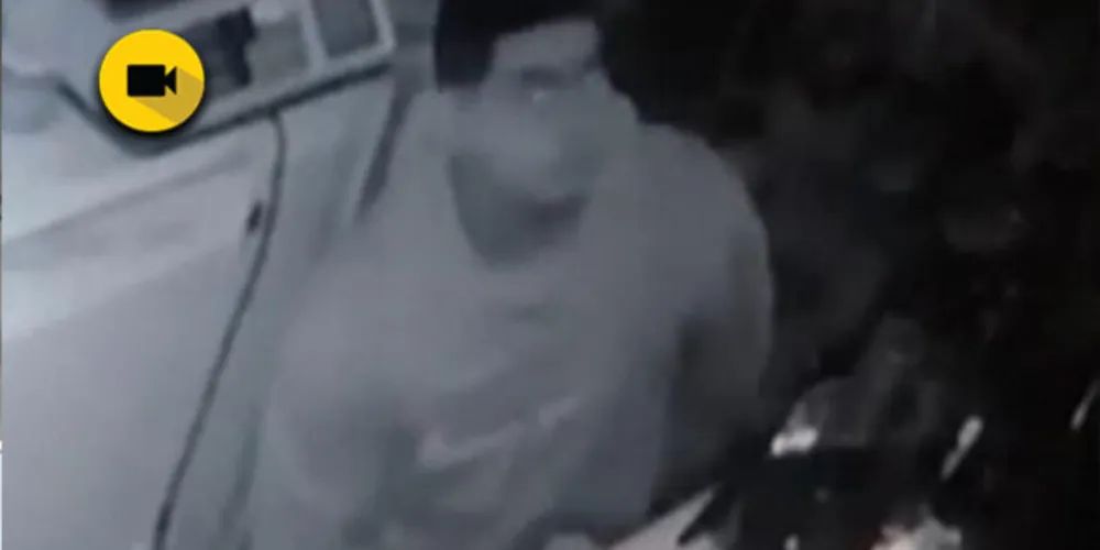 Câmeras de segurança flagraram um rapaz furtando uma mercearia na região do bairro Colônia Dona Luiza.