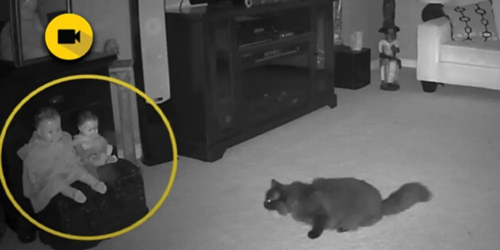 No vídeo, é possível ver uma sombra fantasmagórica saindo de uma boneca e perseguindo o gato da casa