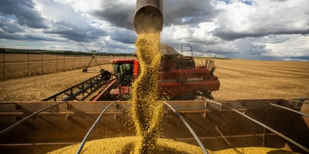 “Condições climáticas adversas” resultaram em queda de 6,7%