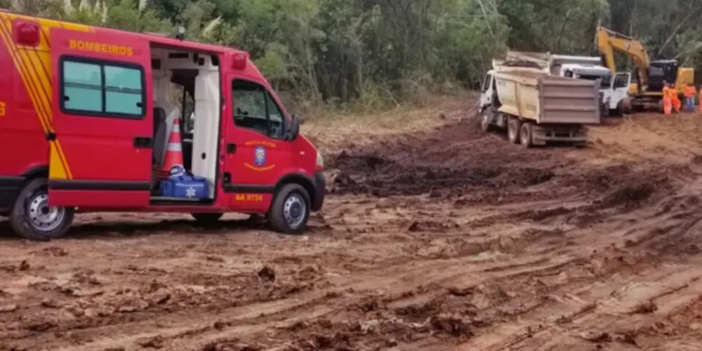 A vítima ficou embaixo da árvore e sofreu graves danos na cabeça.