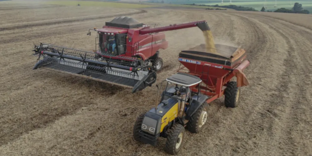 A soja e o milho foram os produtos mais afetados da agricultura
