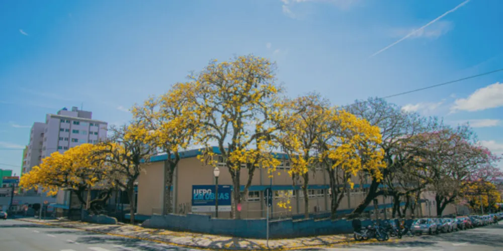 Campus central da UEPG.