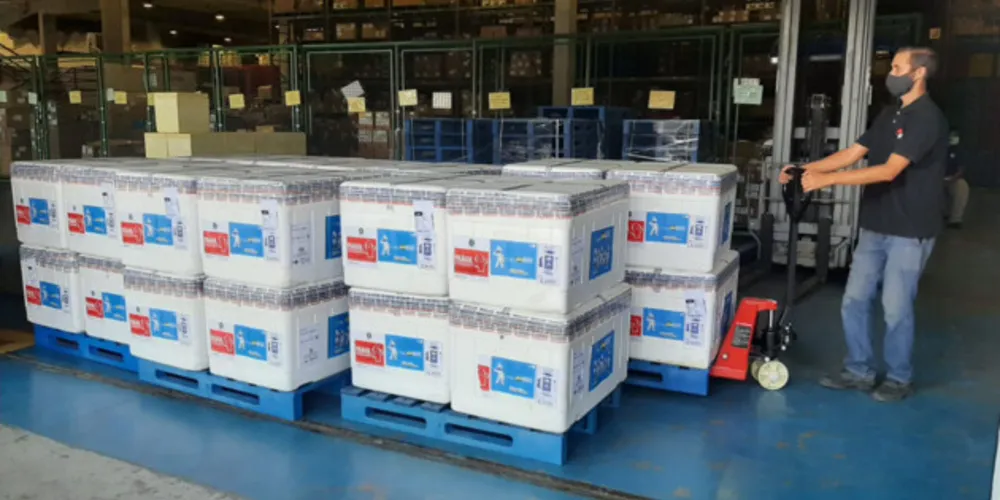 Vacinas são destinadas para o público infantil e dose de reforço da população acima de 18 anos.