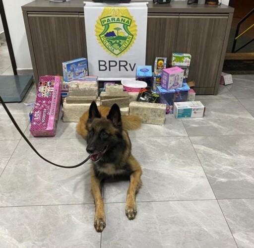 A droga foi apreendida em embalagens de brinquedos escondidas no bagageiro de um ônibus interestadual.