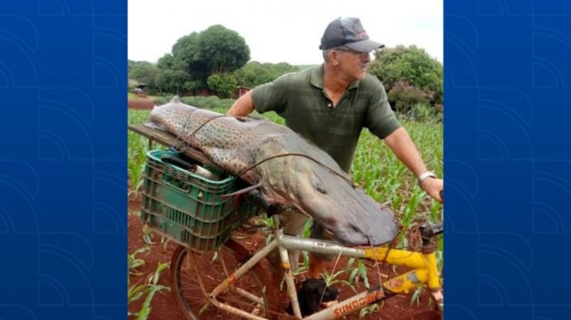 A imagem do homem carregando o peixe em uma bicicleta, viralizou na internet.