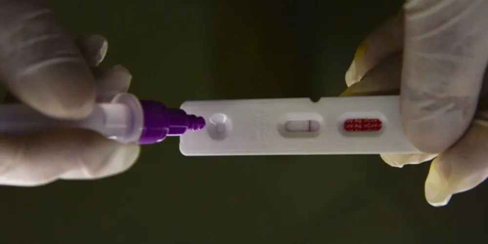 Estudo é do Instituto de Química de São Carlos e foi publicado em revista científica